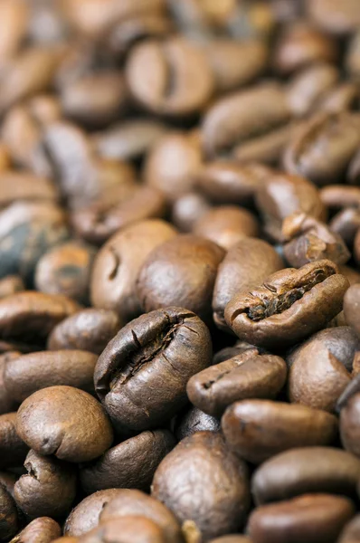 Közeli kép: szemes kávé — Stock Fotó