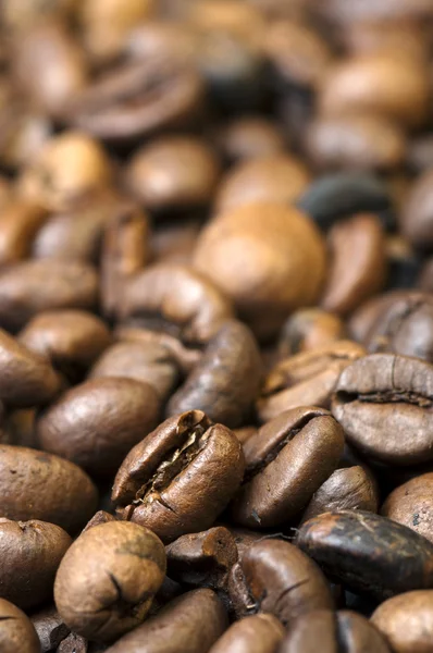 コーヒー豆のクローズ アップ — ストック写真