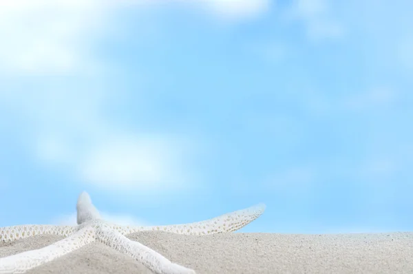 Пляж и голубое небо на заднем плане — стоковое фото