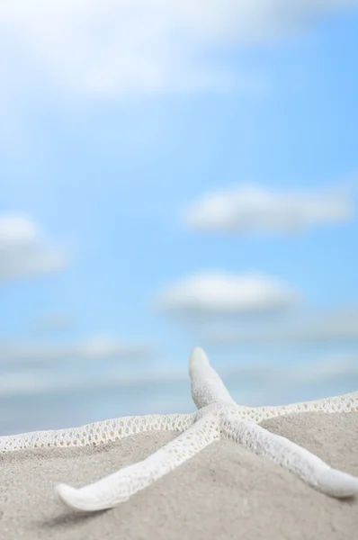 해변 푸른 하늘 배경 — 스톡 사진