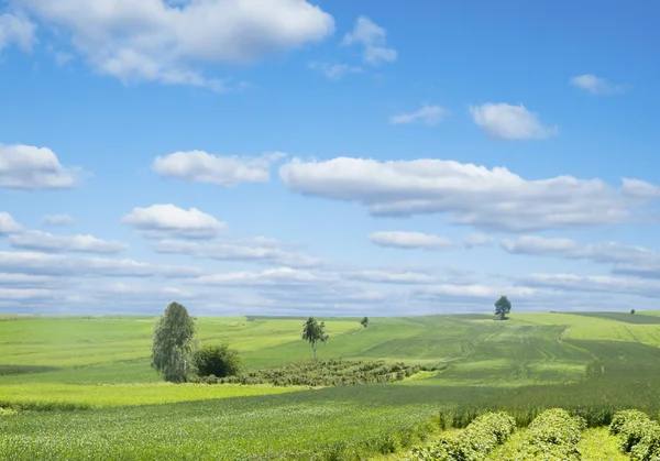 Сельский пейзаж с зеленым холмом и голубым небом в Польше — стоковое фото