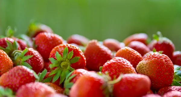 新鲜成熟完美草莓的全景。食品框架背景 — 图库照片
