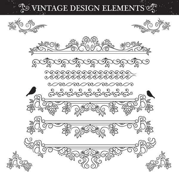 Vintage ornamento definido no fundo branco . — Vetor de Stock