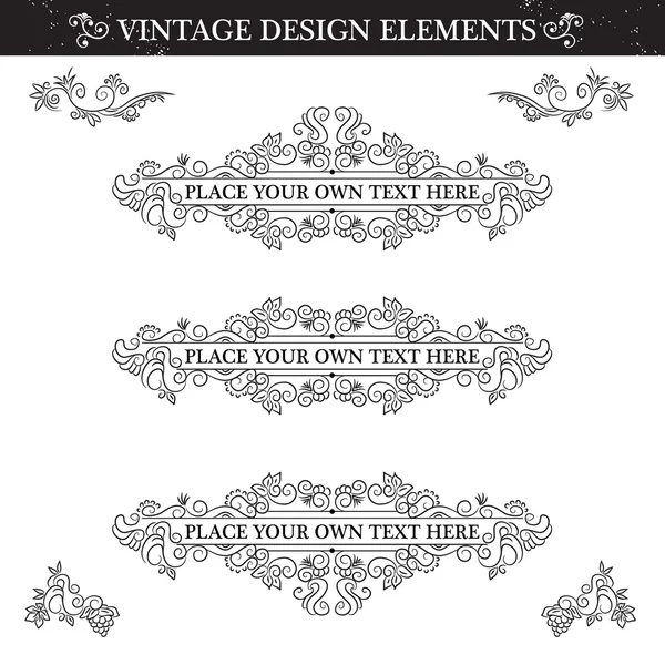 Vintage ornamento definido no fundo branco . — Vetor de Stock