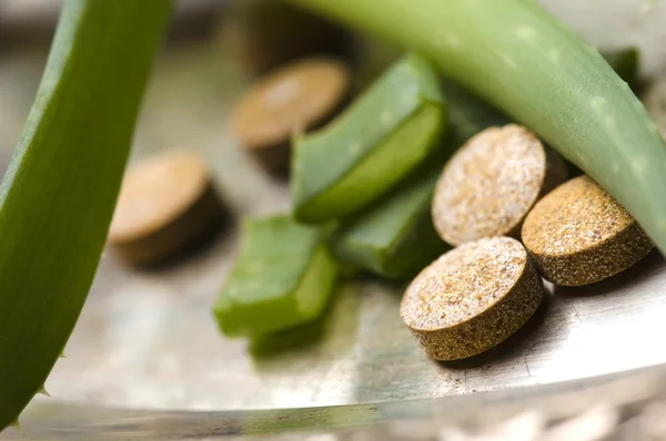 Алоэ вера растение с таблетками - травяная медицина — стоковое фото