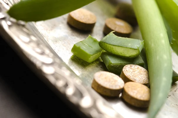 Aloe vera plant with pills - herbal medicine — Stok Foto