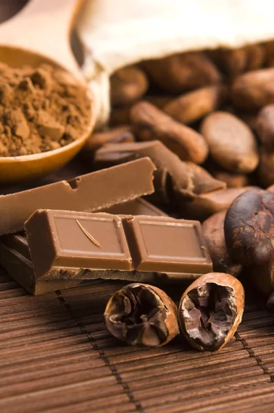 Kakaobohnen mit Schokolade — Stockfoto