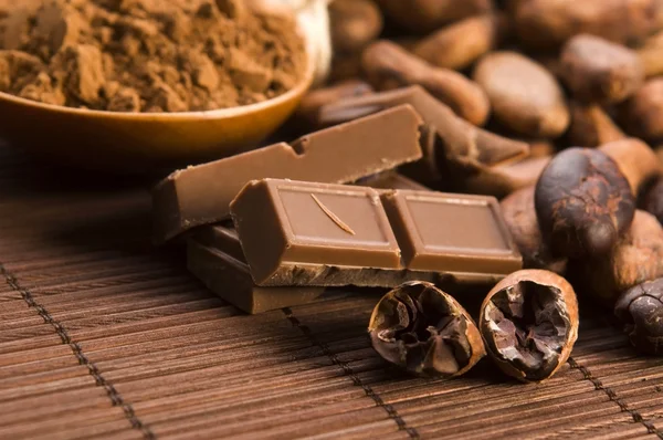 Какао (какао) бобы с шоколадом — стоковое фото