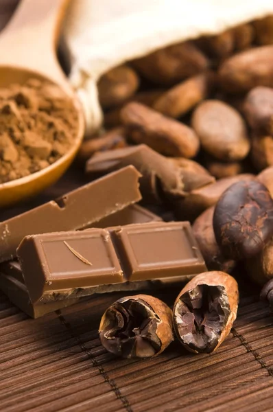 Kakaové boby s čokoládou — Stock fotografie