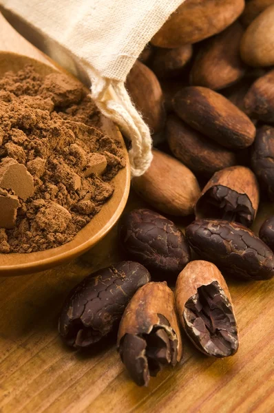 Ziarno kakaowca (kakao) na naturalnym drewnianym stole — Zdjęcie stockowe