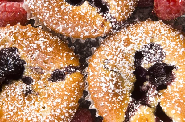 Malinowe ciasteczka ze świeżymi owocami — Zdjęcie stockowe
