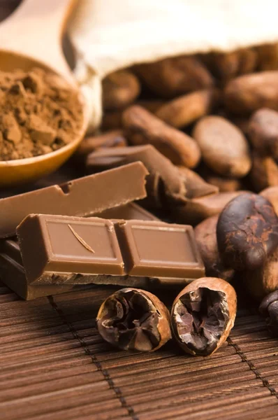 Fagioli di cacao (cacao) con cioccolato — Foto Stock
