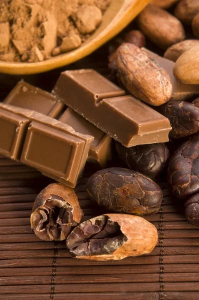 Cacao (cacao) frijoles con chocolate —  Fotos de Stock