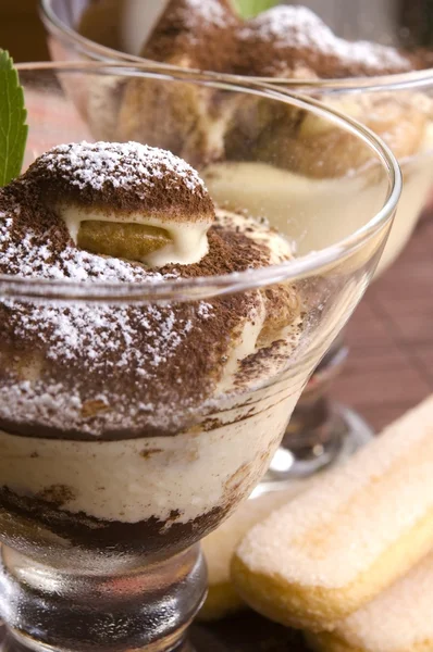 stock image Tiramisu Dessert