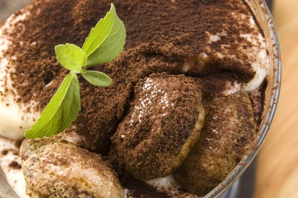 Десерт тирамису — стоковое фото