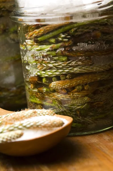 Природная медицина - сироп из сосновой капусты — стоковое фото
