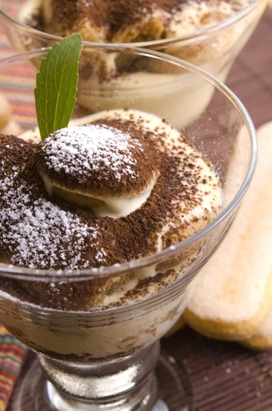 Tiramisu Dessert — Stock Photo, Image