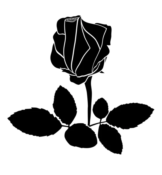 Rosa negra - silueta vectorial — Vector de stock