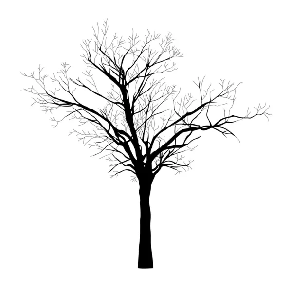 Silueta negra del árbol - vector — Vector de stock