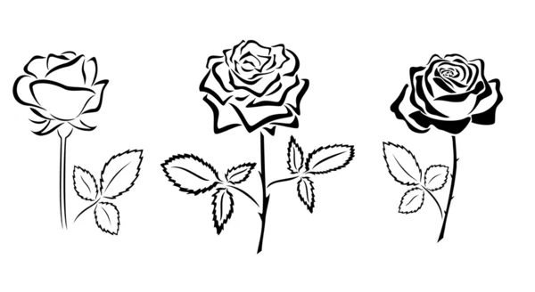 Silhouettes noires de roses - vecteur — Image vectorielle