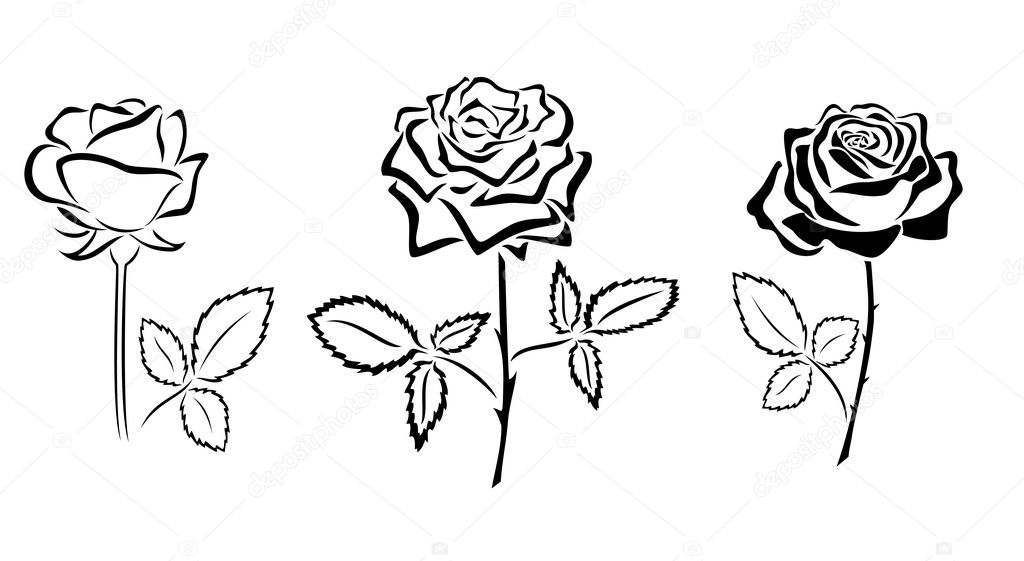 Black Silhouettes Of Roses Vector — Stock Vector © Pavalena 11484025 2028