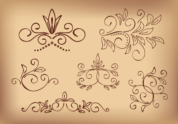 Brown floral design elements - vector set