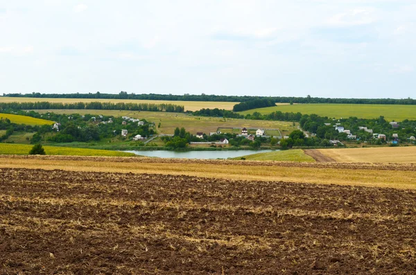 Summer landscape with the village and fields — Stock Photo, Image