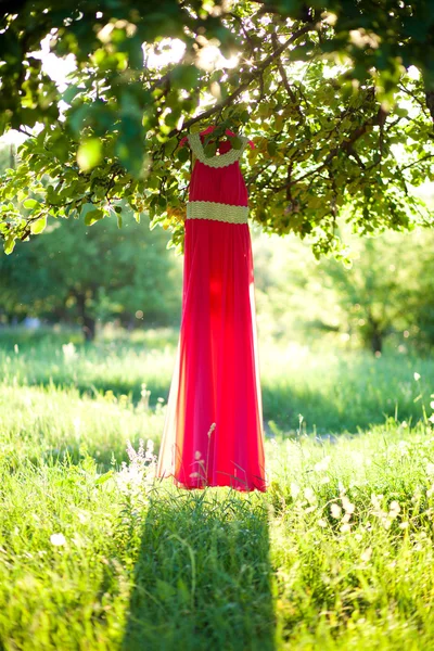 Dlouhé růžové šaty — Stock fotografie
