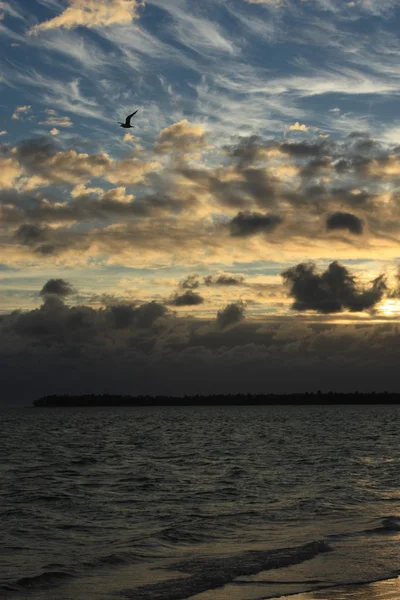 Denize güzel tropik gün batımı — Stok fotoğraf
