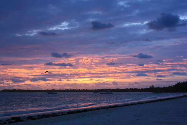 Hermosa puesta de sol tropical sobre el mar —  Fotos de Stock