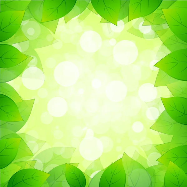 Зеленая рамка с листьями — стоковый вектор