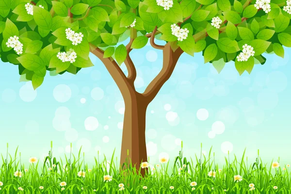 Árvore verde na grama — Vetor de Stock
