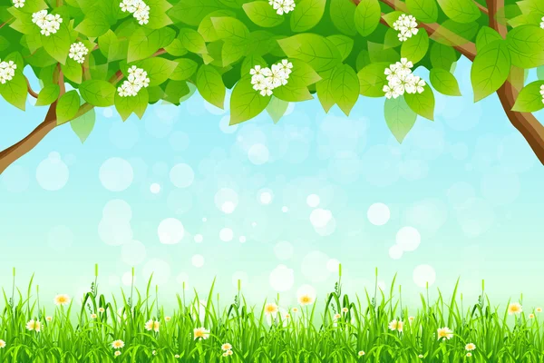 Зелений фон з гілки дерев і трави — стоковий вектор