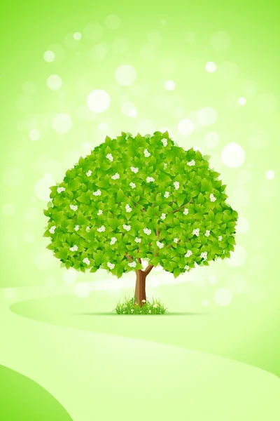 Groene boom — Stockvector
