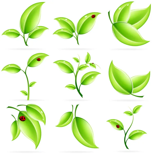 Свіжі зелені листя набір піктограм — стоковий вектор