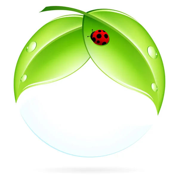 Green Leaves with Ladybird — Stock Vector