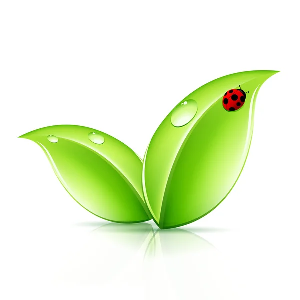 Símbolo de folhas verdes — Vetor de Stock