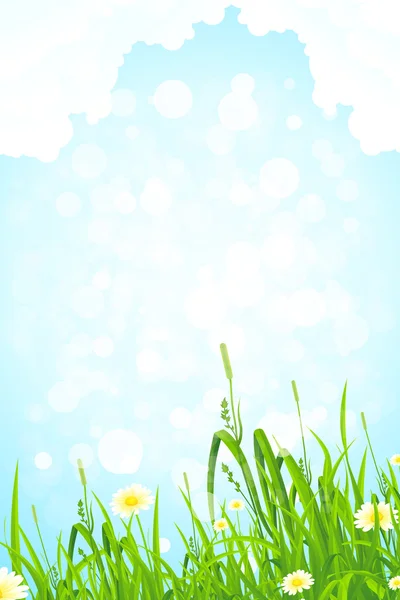 Background with Grass and Sky — Stock Vector