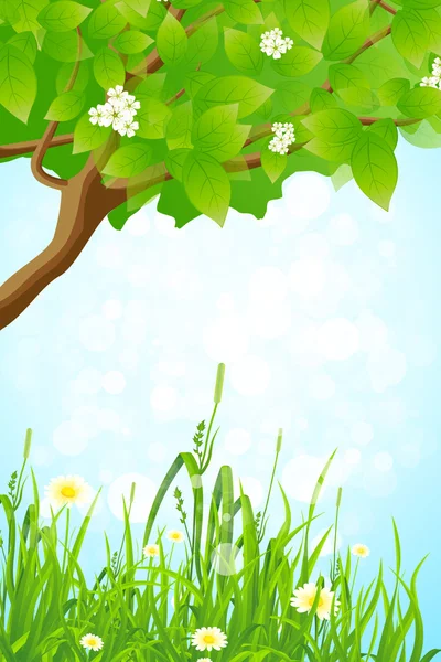Зелена трава і Гілка дерева — стоковий вектор