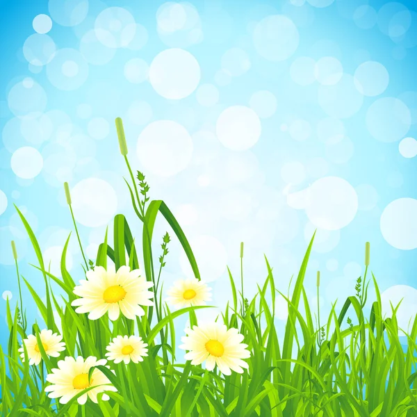 Flowers and Grass — Stock Vector