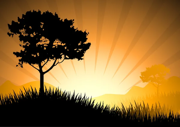 Amazing natural sunset landscape with tree silhouette, vector il — Stock Vector