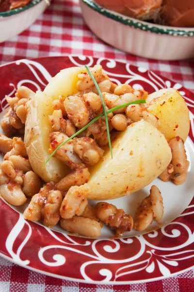 Jacke Kartoffel mit weißen Bohnen — Stockfoto