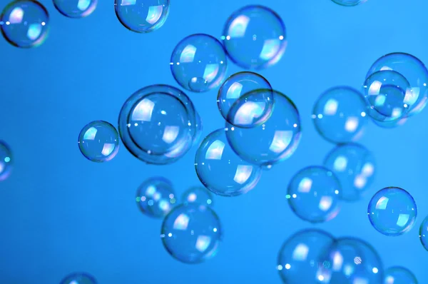 stock image Soap bubbles on blue