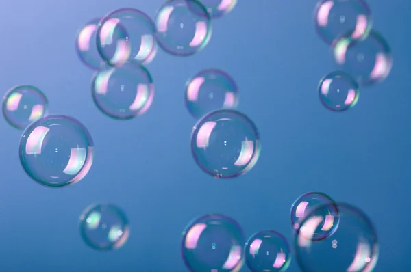 stock image Soap bubbles on blue