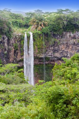 Chamarel waterfalls in Mauritius clipart