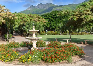 Park bölgesi le domaine les pailles. Mauritius