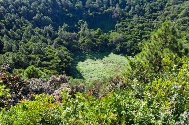 Ancient extinct volcano crater. Trou aux Cerfs, Mauritius clipart