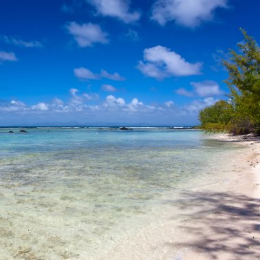 adanın sessiz bay gabriel. Mauritius.