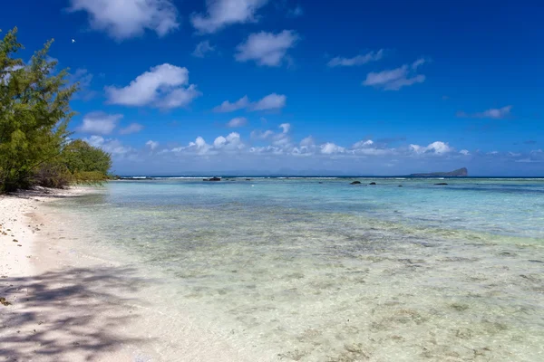 Rustige baai van het eiland gabriel. Mauritius. — Stockfoto
