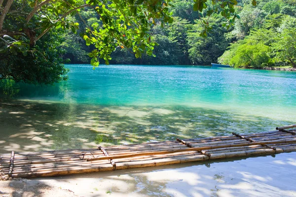 stock image Jamaica. A Blue lagoon.